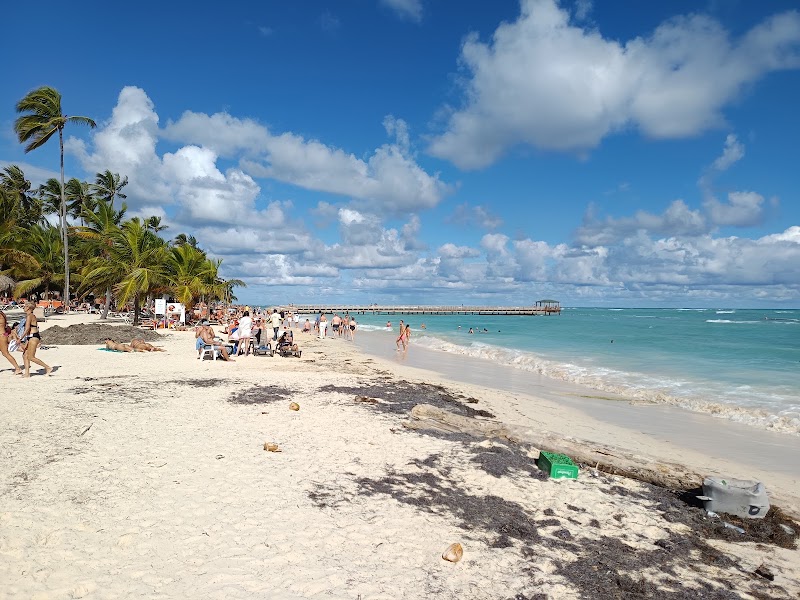 Los Corales
