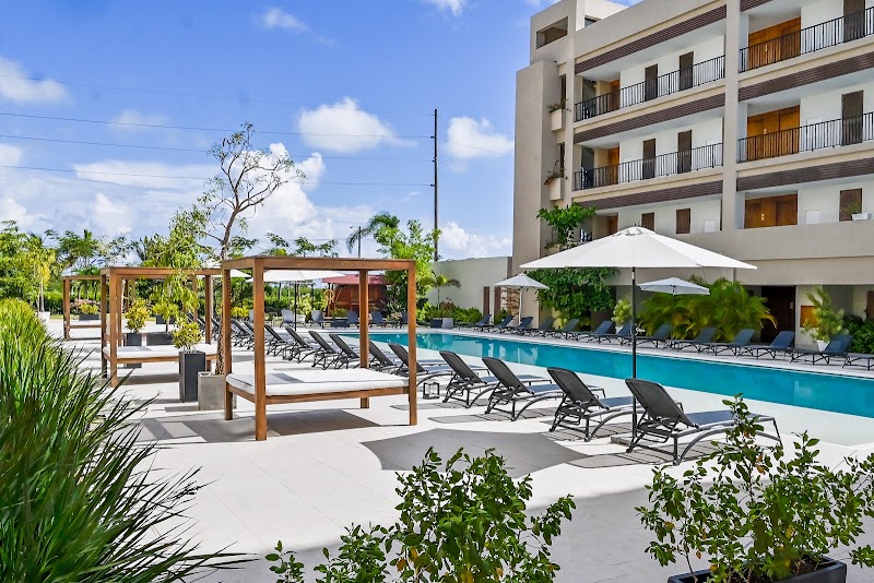 Hotel Faranda Single 1