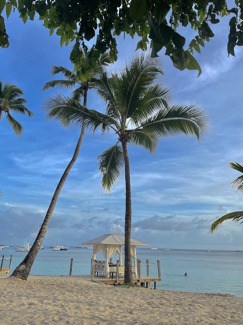 Soleil Swim-up Bar