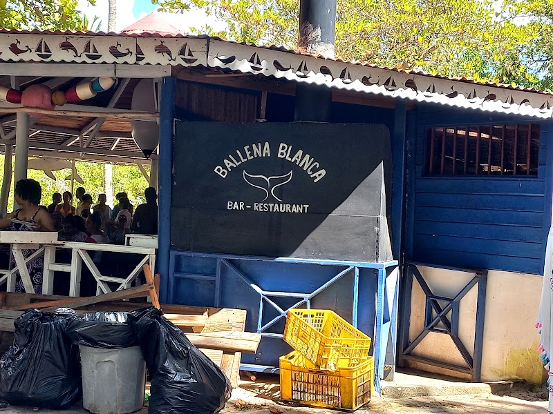 Ballena Blanca