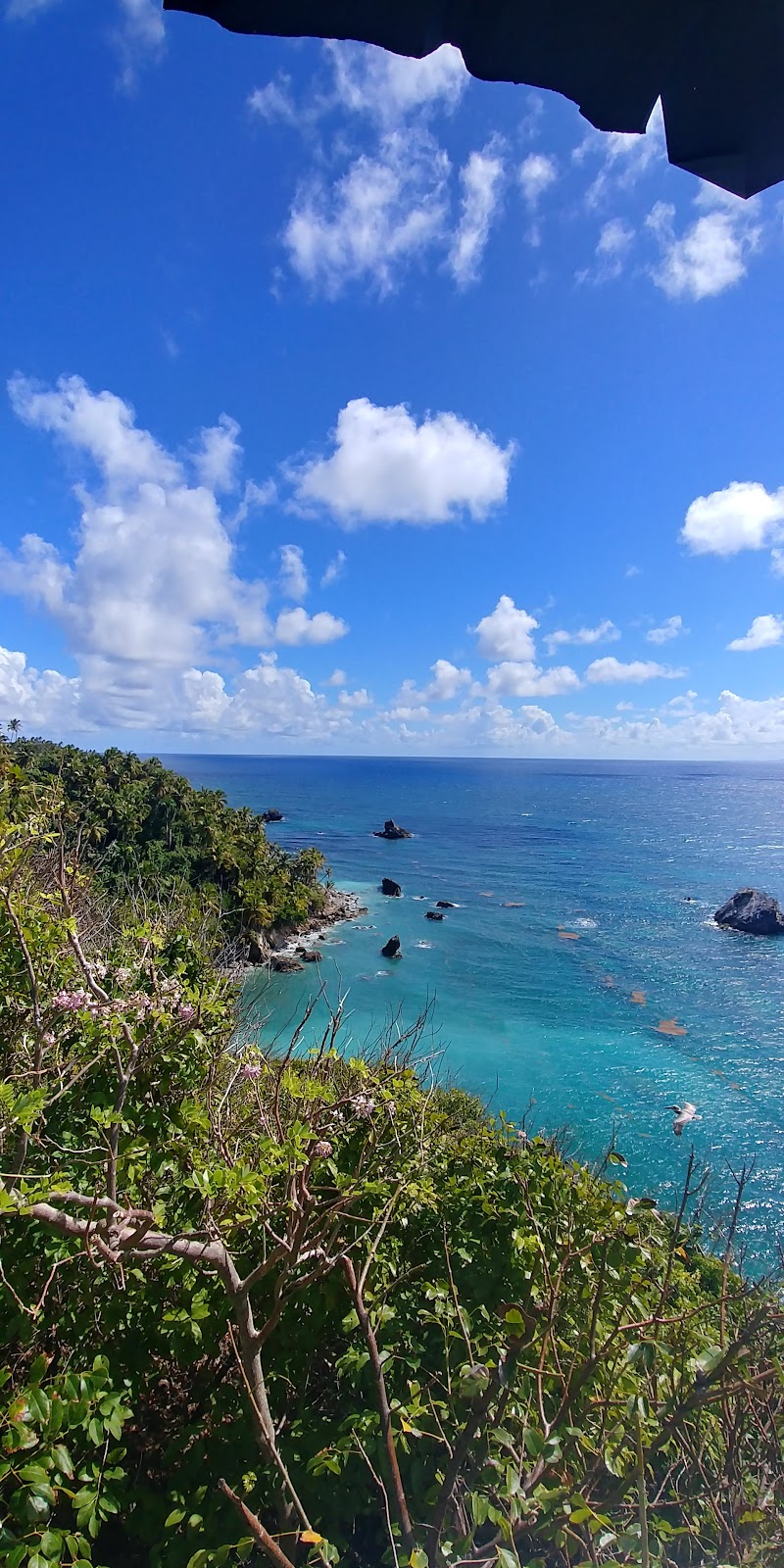 L'Observatorio de ballenas