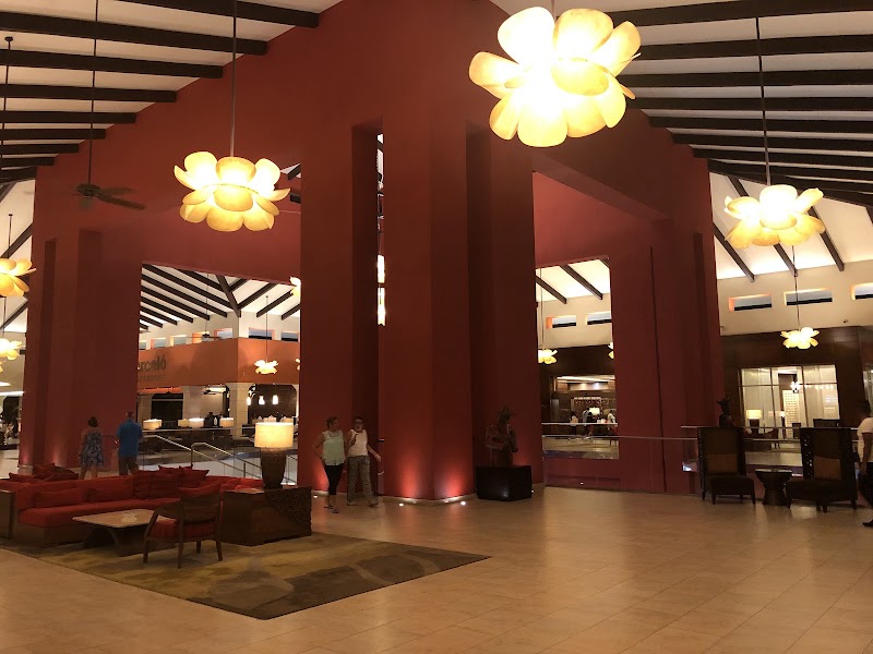 Cielo Bar