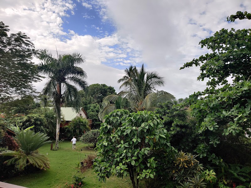 Hostel La Junglita